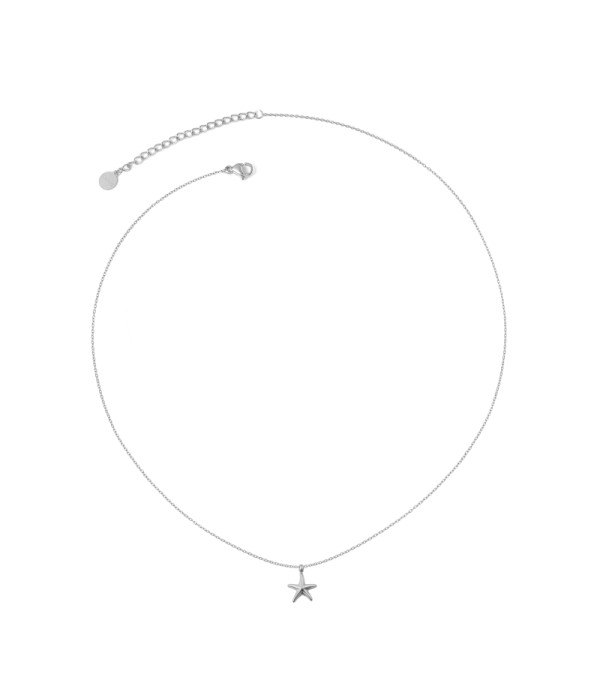 Collar plateado con colgante de estrella de mar
