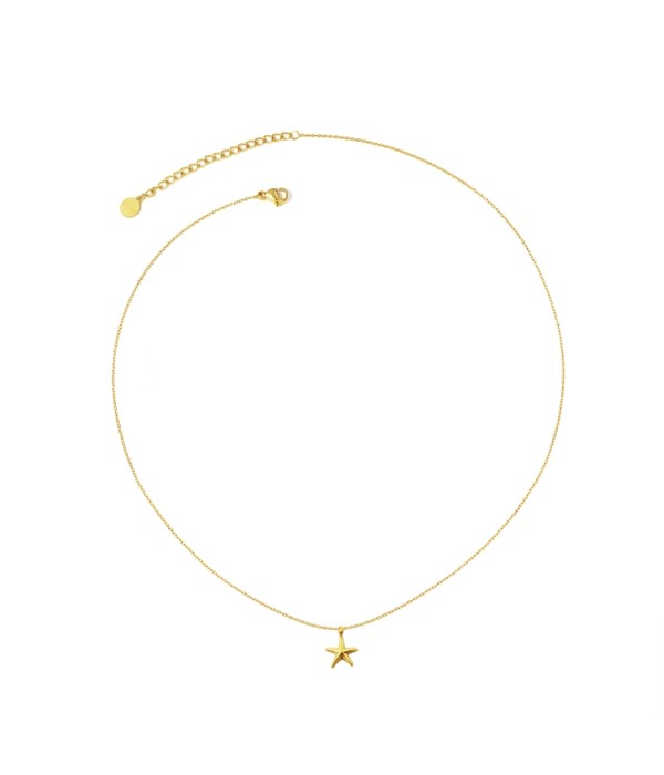 Collar dorado con colgante de estrella de mar