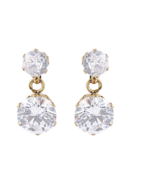 Pendientes de dos circulos brillantes