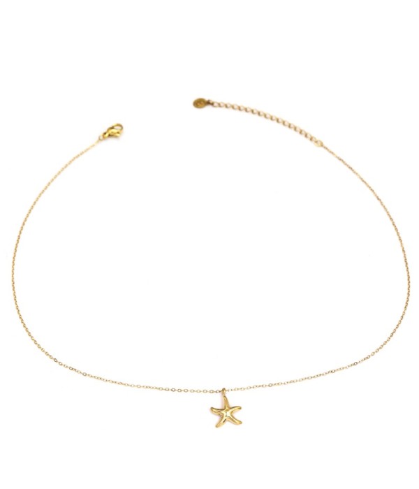 Collar dorado con colgante de estrella de mar