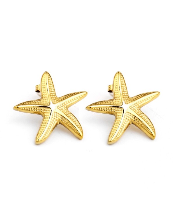 Pendientes plateados de estrella de mar
