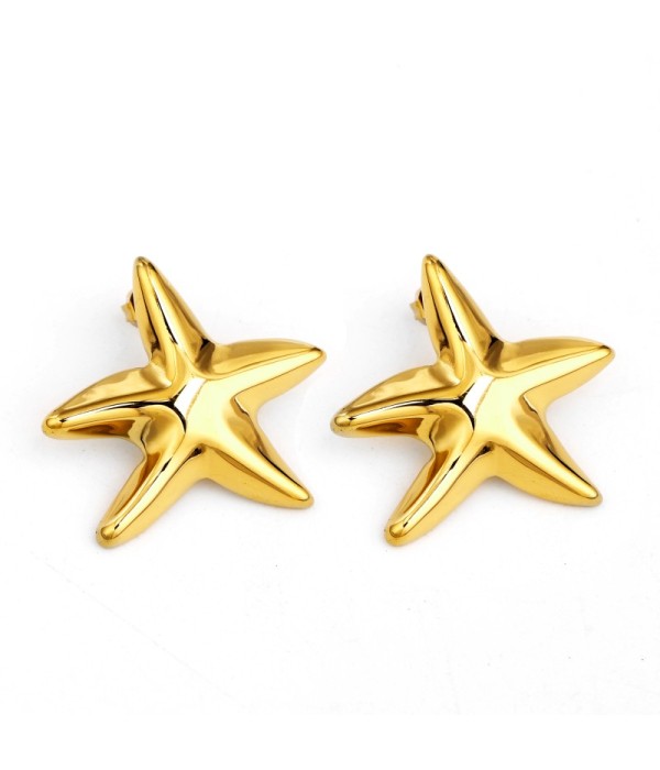 Pendientes de estrella de mar