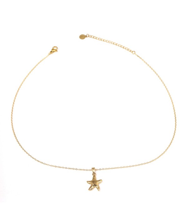 Collar con colgante de estrella de mar