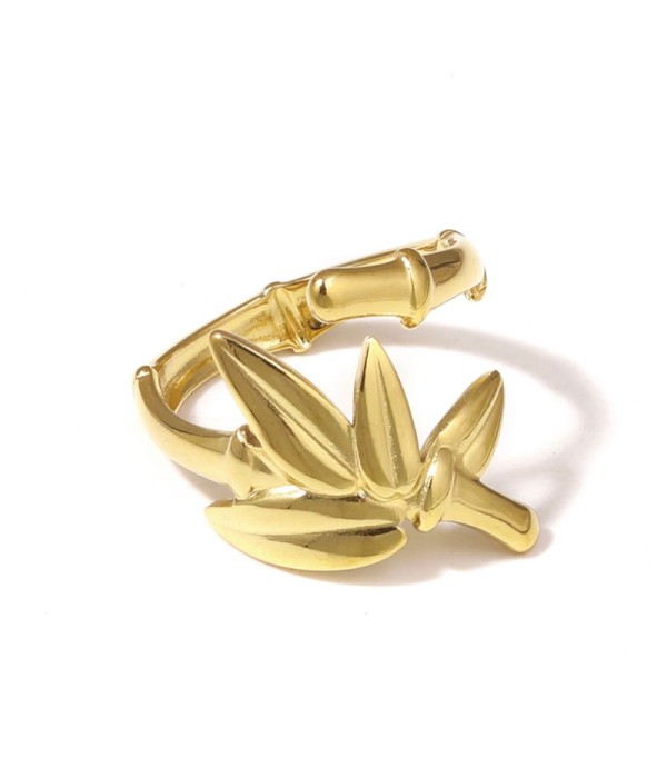 Anillo de bambú y hojas