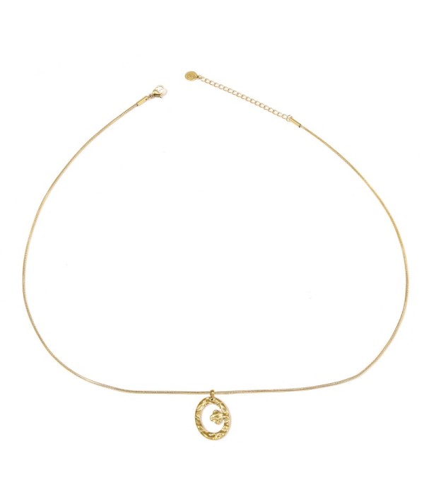 Collar dorado de óvalo martillado con trébol de cuatro hojas