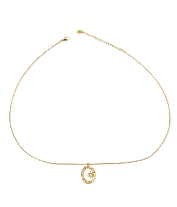 Collar dorado de óvalo martillado con estrella