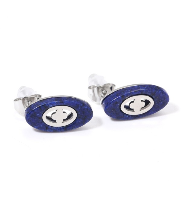 Pendientes plateados con óvalo multicolores