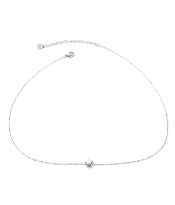Collar plateado con estrella