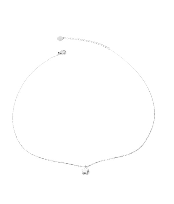 Collar plateado con estrella