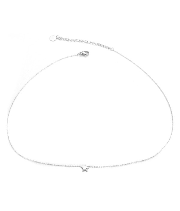 Collar plateado con estrella de nácar