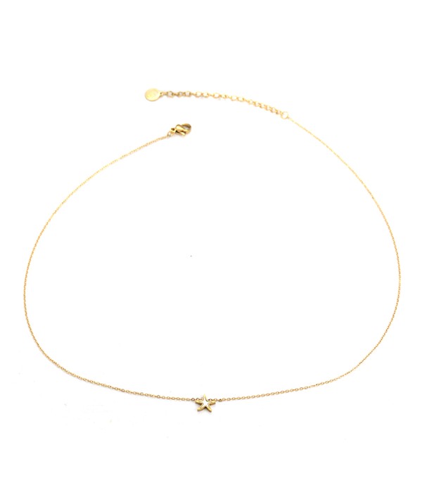 Collar dorado con estrella de mar de nácar