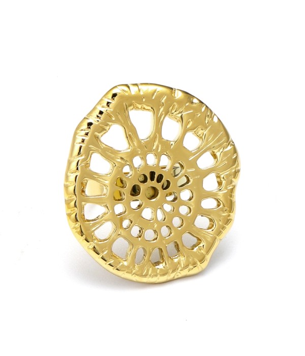 Anillo dorado de red de hongos